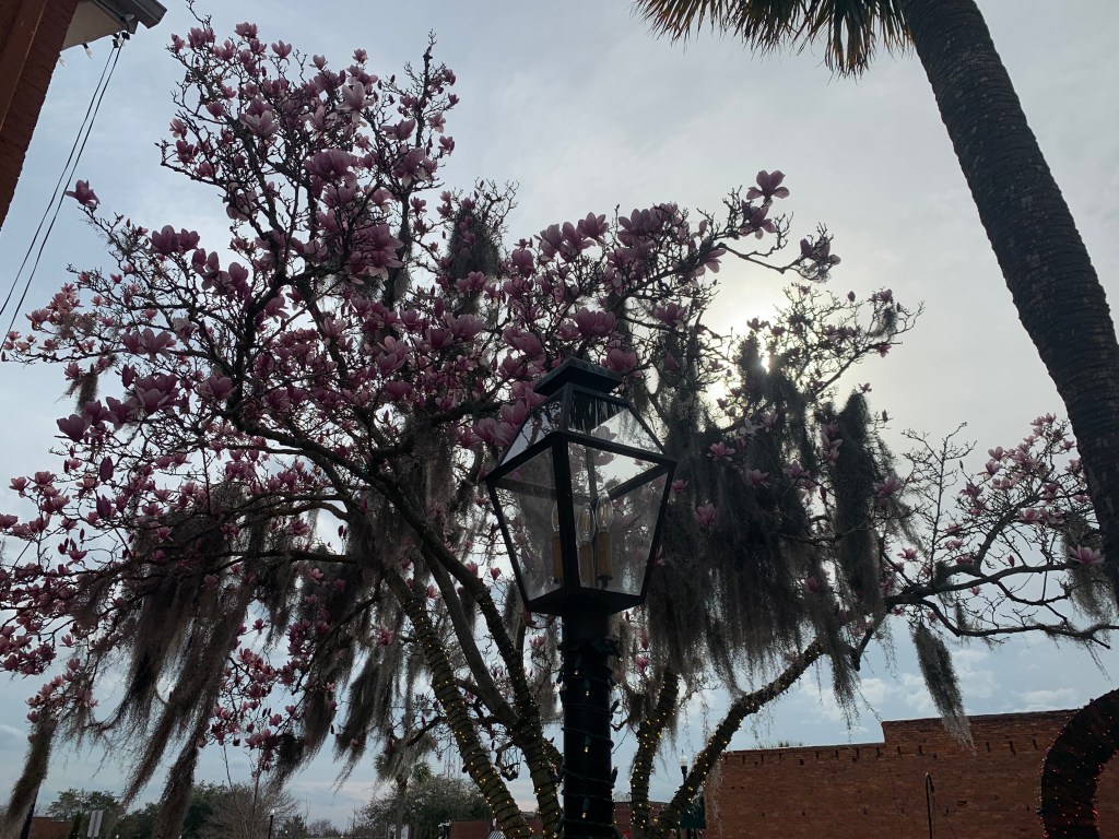 One Sentence Story&nbsp;#31