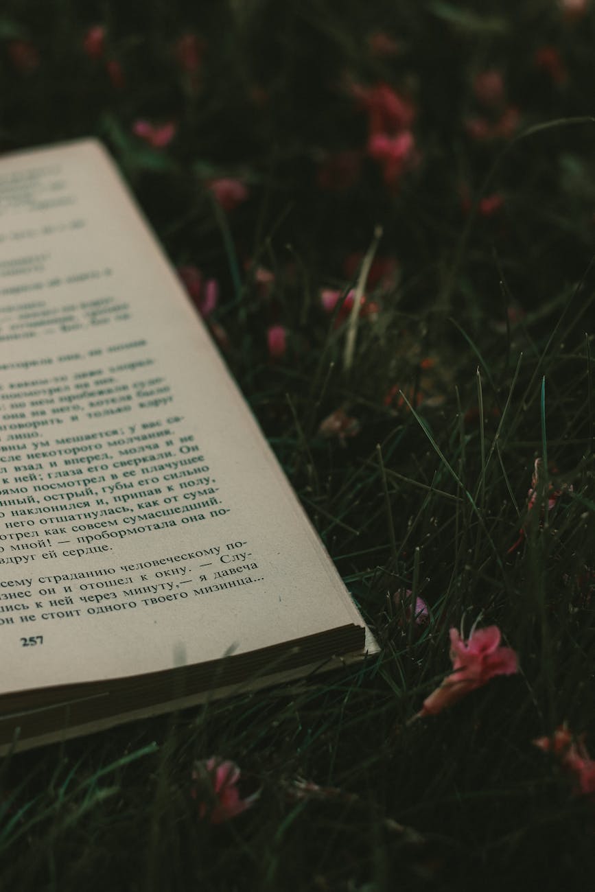 (Mis)Adventures in Self-Publishing