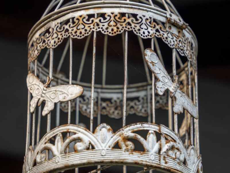 Cage